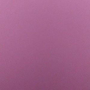 Meet your Posher, Audreyanna